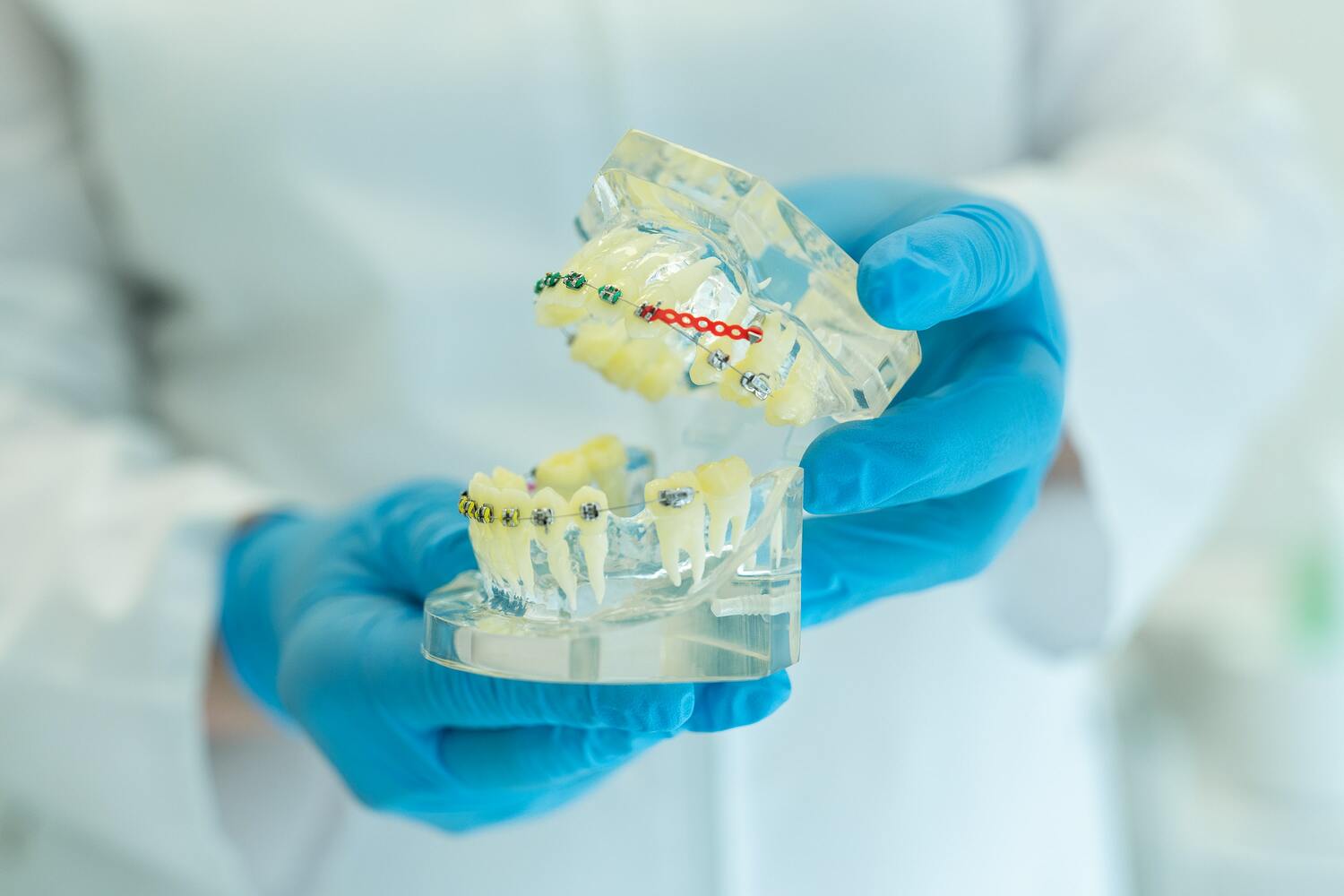 Ортодонтия 